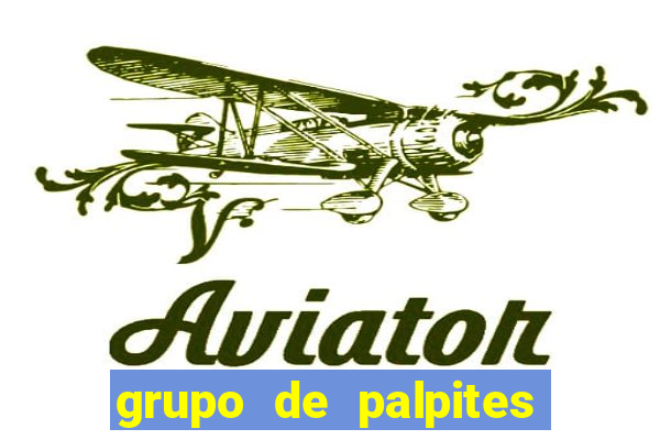 grupo de palpites de futebol whatsapp